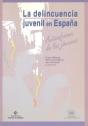 La Delincuencia Juvenil En España, Autoinforme De Los Jóvenes - Preview