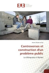 La Delinquance A Nantes
