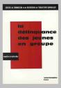 La Délinquance Des Jeunes En Groupe - Preview