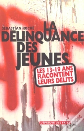 La Délinquance Des Jeunes ; Les 13-19 Ans Racontent Leurs Délits