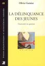 La Délinquance Des Jeunes : L'Insécurite En Question - Preview