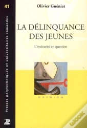 La Délinquance Des Jeunes : L'Insécurite En Question