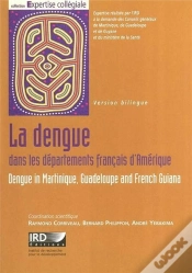 Capa do artigo La Dengue Dans Les Departements Francais D
