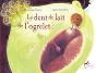 La Dent De Lait De L'Ogrelet - Preview
