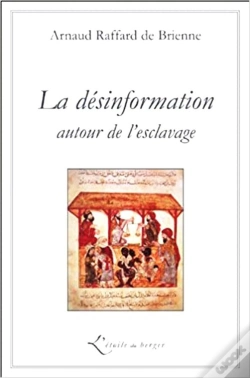 Capa do artigo La Désinformation Autour De L'Esclavage