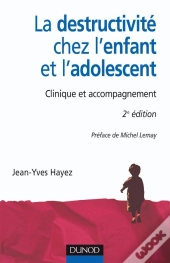 La Destructivité Chez L'Enfant Et L'Adolescent - 2ème Édition