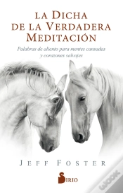 Capa do artigo La Dicha De La Verdadera Meditación