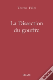 Capa do artigo La Dissection Du Gouffre