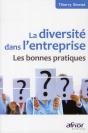 La Diversité Dans L'Entreprise ; Les Bonnes Pratiques - Preview