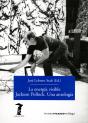 La Energía Visible. Jackson Pollock. Una Antología - Preview