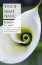 La Esencia Del Amor - Preview