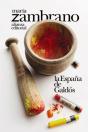 La España De Galdós - Preview