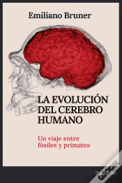 Capa do artigo La Evolucion Del Cerebro Humano