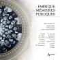 La Fabrique Des Mémoires Publiques - Preview