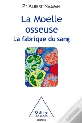 La Fabrique Du Sang, La Moelle Osseuse