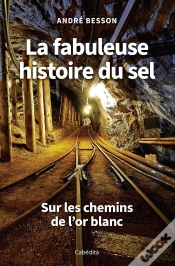 Capa do artigo La Fabuleuse Histoire Du Sel : Sur Les Chemins De L