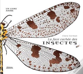 La Face Cachée Des Insectes