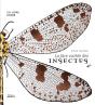 La Face Cachée Des Insectes - Preview