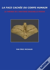 Capa do artigo La Face Cachée Du Corps Humain : La Théorie De L