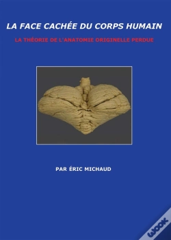 Capa do artigo La Face Cachée Du Corps Humain : La Théorie De L'Anatomie Originelle Perdue