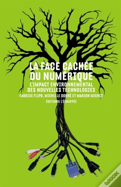 Capa do artigo La Fache Cachee Du Numerique