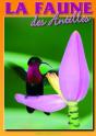 La Faune Des Antilles - Preview