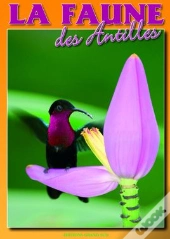 La Faune Des Antilles