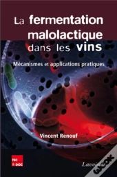 La Fermentation Malolactique Dans Les Vins : Mécanismes Et Applications Pratiques