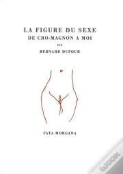 La Figure Du Sexe De Cro-Magnon A Moi