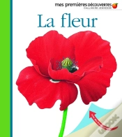 Capa do artigo La Fleur