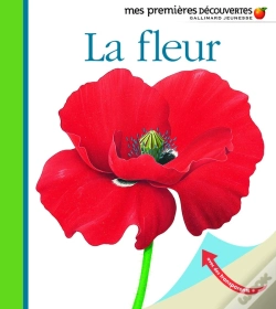 Capa do artigo La Fleur