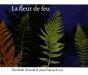 La Fleur De Feu - Preview