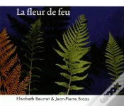 Capa do artigo La Fleur De Feu