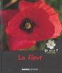 La Fleur - Preview