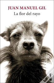 Capa do artigo La Flor Del Rayo