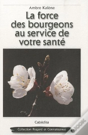 Capa do artigo La Force Des Bourgeons Au Service De Votre Sante
