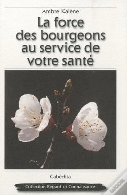 Capa do artigo La Force Des Bourgeons Au Service De Votre Sante