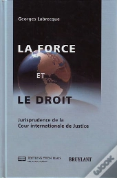 La Force Et Le Droit ; Jurisprudence De La Cour Internationale De Justice