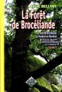 La Forêt De Brocéliande T.1 - Preview