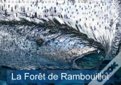 La Foret De Rambouillet Calendrier Mural 2018 Din A4 Horizontal