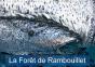 La Foret De Rambouillet Calendrier Mural 2018 Din A4 Horizontal - Preview