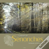 La Forêt De Senonches