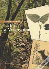 La Foret De Vizzavona