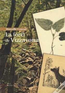 Capa do artigo La Foret De Vizzavona