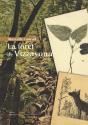La Foret De Vizzavona - Preview