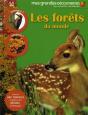 La Forêt - Preview