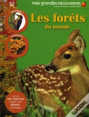 Capa do artigo La Forêt