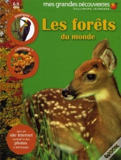 Capa do artigo La Forêt