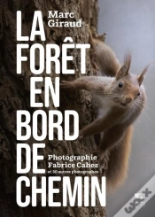 Capa do artigo La Forêt En Bord De Chemin