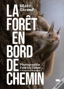 Capa do artigo La Forêt En Bord De Chemin